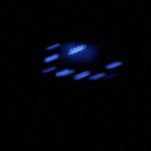 Meet your Posher, Hailey